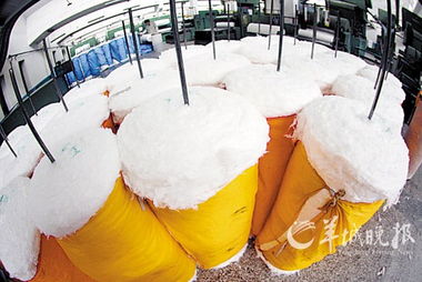 棉價日日高歌猛進 紡織品交易遇寒冬