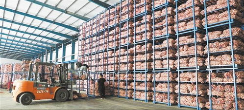 鄉(xiāng)村振興 一線 牽 服務民生謀發(fā)展